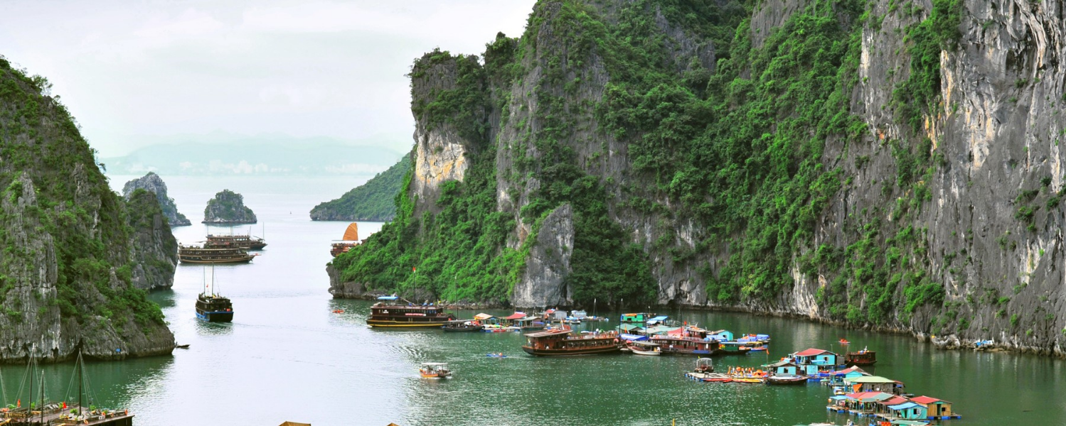 Digital Transformation Within Vietnamese Tourism 