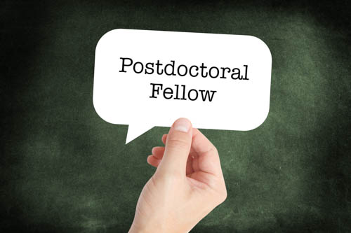 UEH provides 100% financial help to Postdoctoral Fellowship