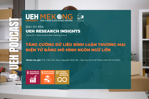 [Research Contribution] Tăng cường dữ liệu bình luận thương mại điện tử bằng mô hình ngôn ngữ lớn